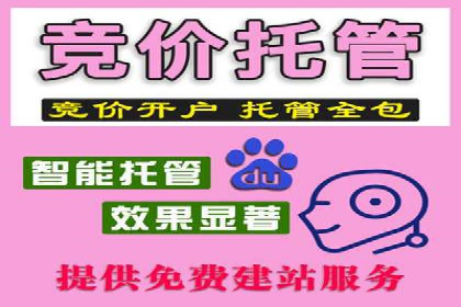 SEM托管代运营助力品牌广告投放